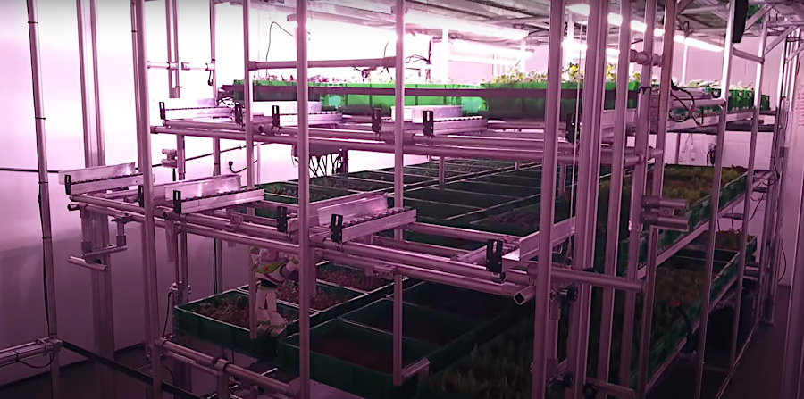 Area2 Farms uses automated technology to grow ,