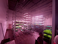 Area2Farms has patented its tower/rack technology