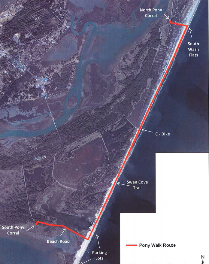traditional Pony Walk route from the North Pony Corral on the Monday before the Pony Swim