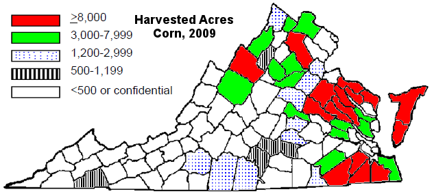 in 2009, corn production in Virginia was concentrated on the Coastal Plain, the northern Piedmont, and the Shenandoah Valley west of Massanutten Mountain