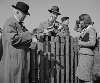 the Gold Cup steeplechase race in Fauquier County dates back to 1922, and got a limited license to offer pari-mutuel betting starting in 2013