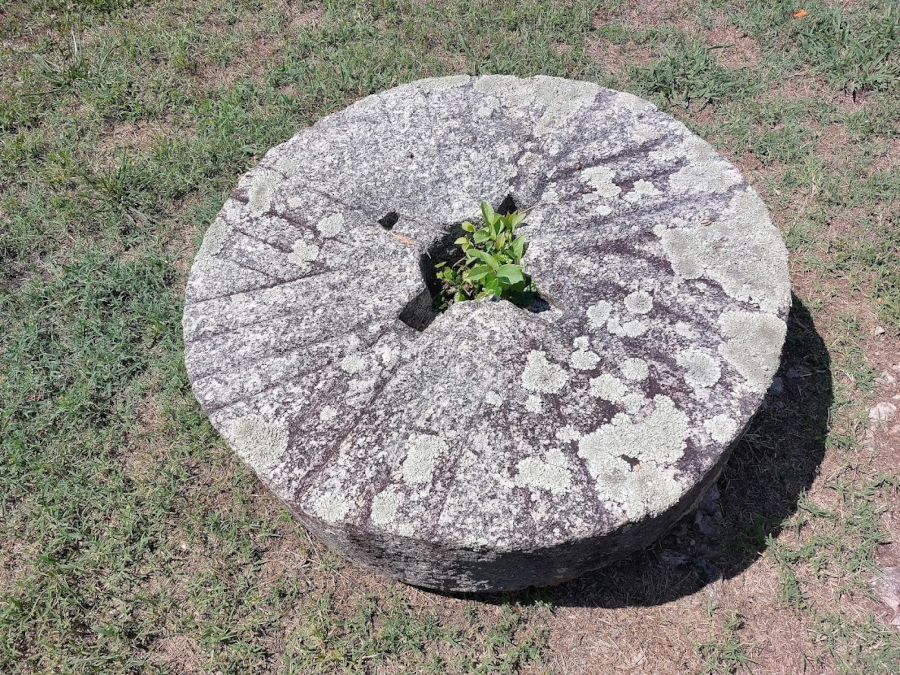 wheat was ground into flour by stone grist wheels, which today are mostly historic relics (Prestwould Plantation in Mecklenburg County)