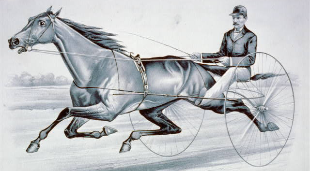 starting in 1998, the Colonial Downs racetrack in New Kent County offered pari-mutuel betting on harness races