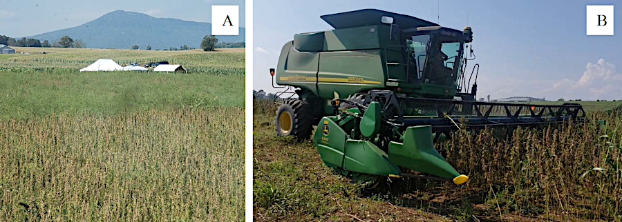 existing equipment can be used for hemp production