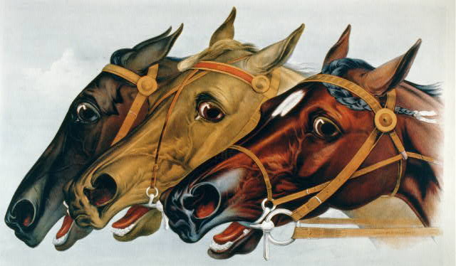 the competition for a Virginia racetrack license in 1994 was as intense as a horse race itself