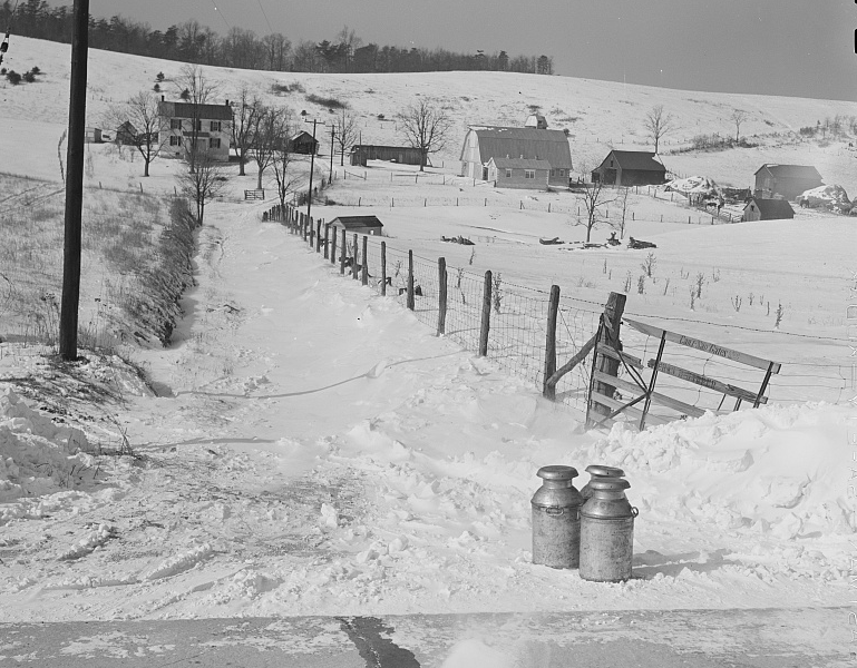 dairy farmers sent milk to market every day via cans