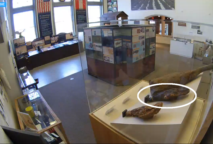 oldest ham, seen on Ham Cam live feed