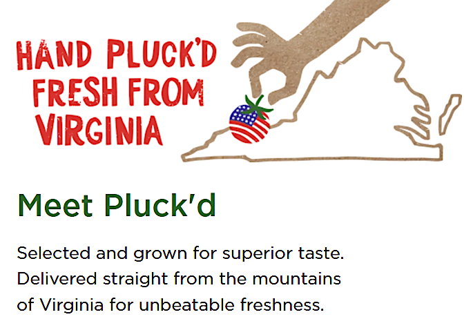 Pluck'd prioritized quality rather than quantity when growing tomatoes in a Carroll County greenhouse