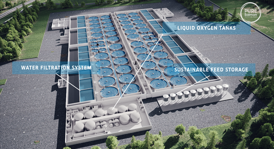 the Pure Salmon project in Tazewell County initially planned to produce 20,000 tons of salmon annually
