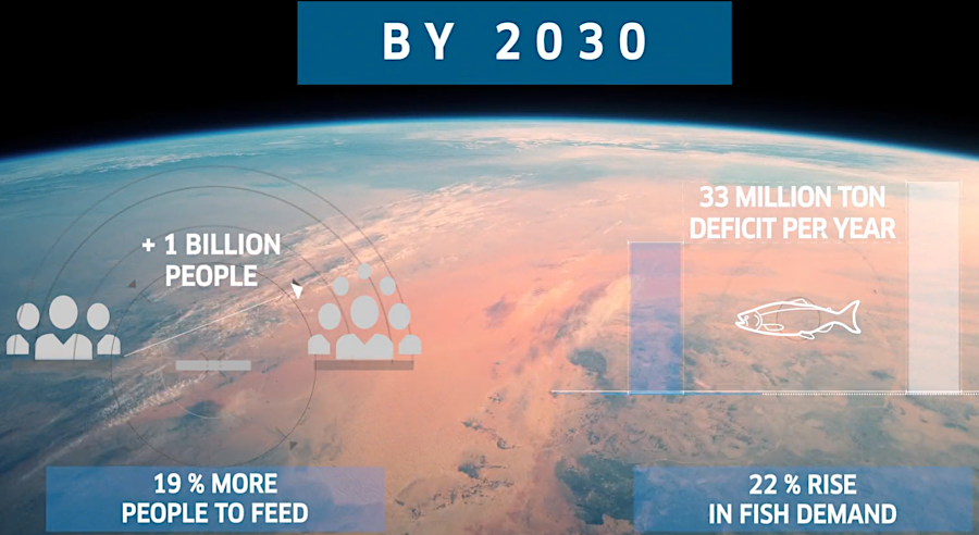 Pure Salmon estimated that worldwide demand for fish protein would exceed the wild catch capacity, justifying construction of aquaculture facilities