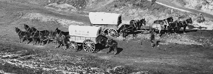 horses were the equivalent of trucks in the Civil War