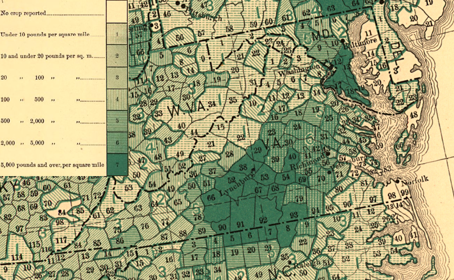 in 1880, tobacco was grown in many counties but the farmers in Southside harvested the greatest amount per acre