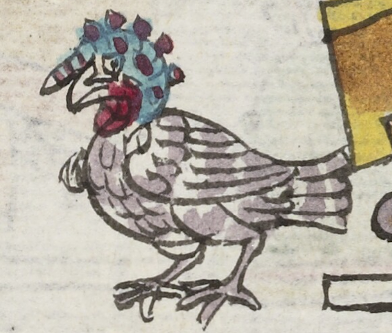the Aztec glyph for the turkey hen (huexolotl)