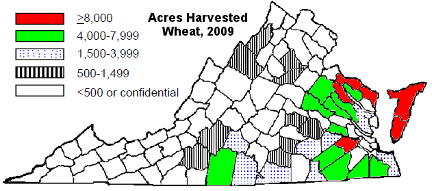 in 2009, wheat production in Virginia was concentrated on the Coastal Plain, especially the Northern Neck and Eastern Shore