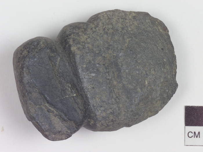 Native Americans used stone axes to cut trees and make palisades, until getting access to metal axes made by Europeans
