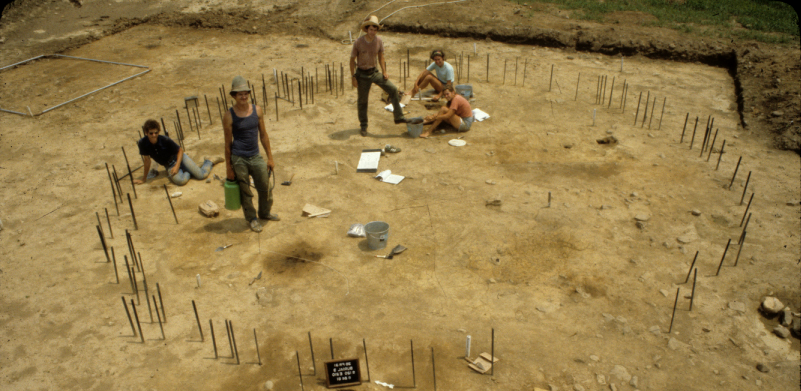 organic stains in the soil (
