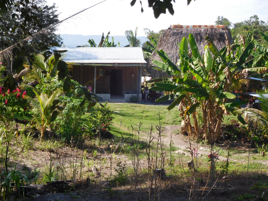 home of a farmer neat Topoxte in Guatamala, showing thatched-roof structure used for cooking next to metal-roofed house