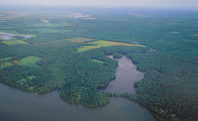 Charles Lake was eliminated after the dam across Kimages Creek was removed, in contrast to Curles Neck