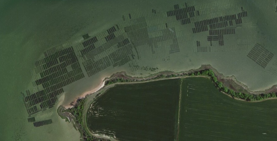 aquaculture on submerged lands leased through Virginia Marine Resources Commission at Cherrystone inlet north of Town of Cape Charles