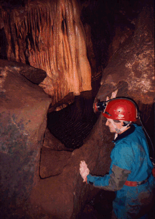 Virginia caves are typically muddy, moist, cool - and dark