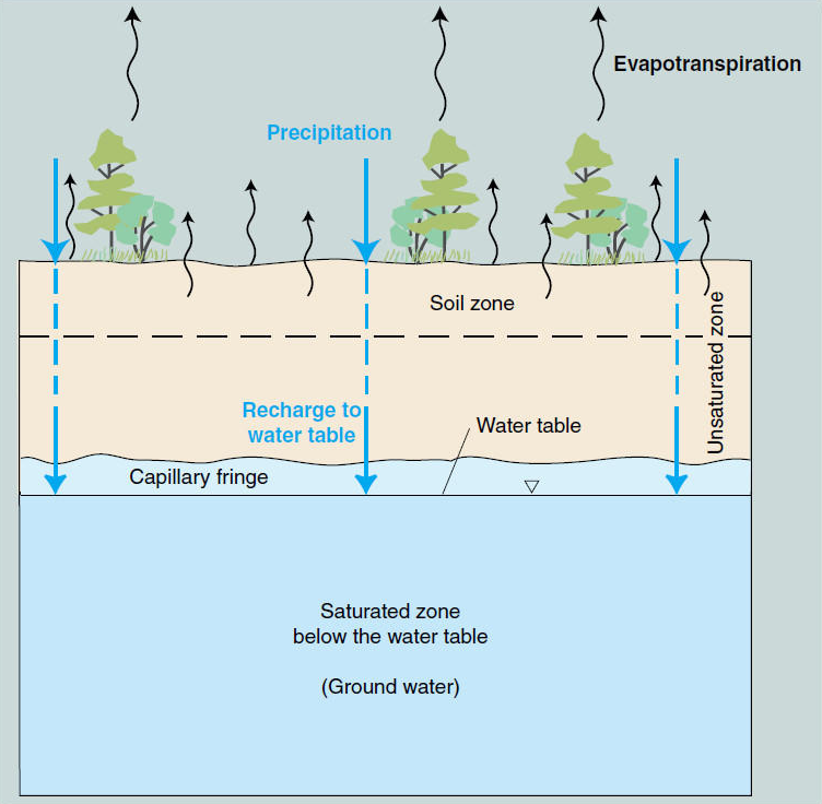 Virginia's caves developed initially in calcium-rich bedrock below the water table
