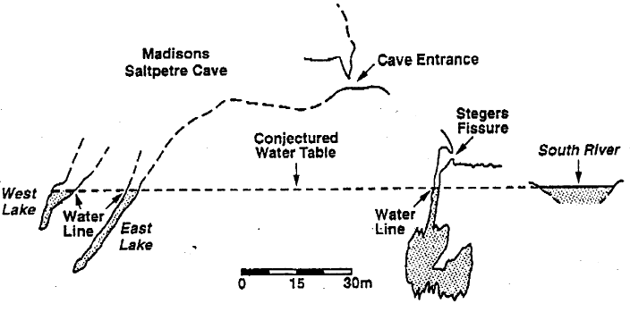 fertilizer from cropland and manure from livestock can get into the groundwater of caves from small openings in the porous limestone bedrock and via rainwater flowing into larger openings