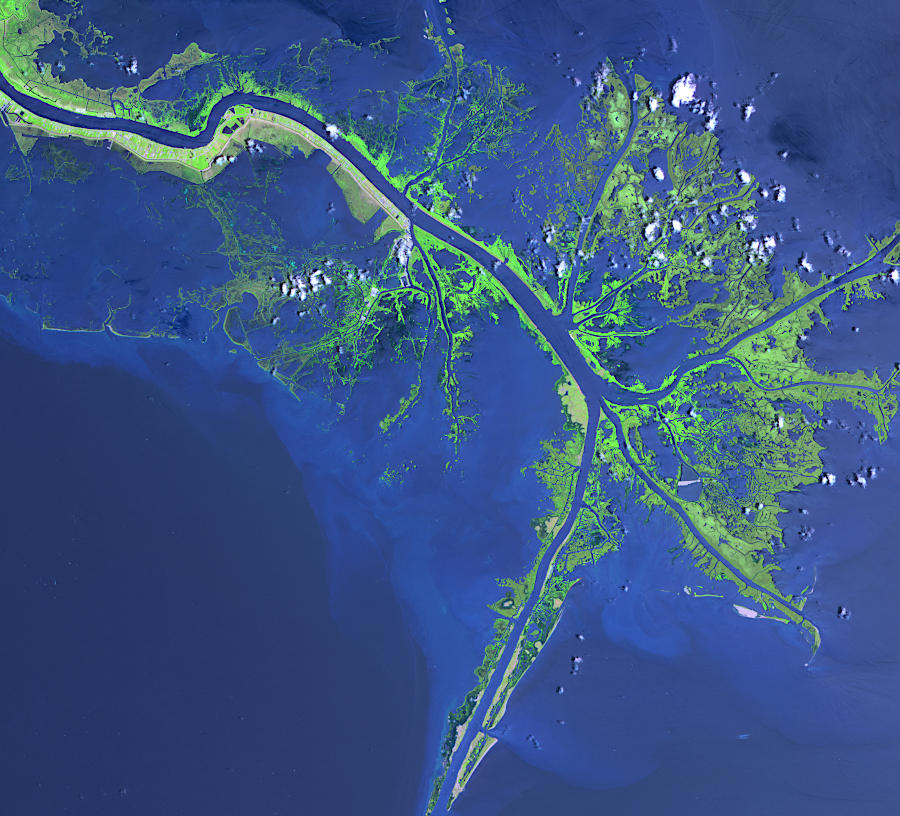 the shifting channnels of the Susquehanna River are mimicked today at the mouth of the Mississippi River