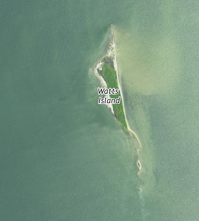 Watts Island is now part of the Chesapeake Marshlands National Wildlife Refuge Complex