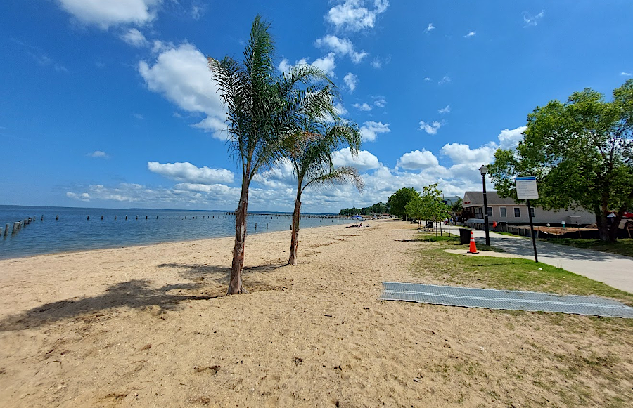 palm trees were surviving outdoors at Colonial Beach in 2025