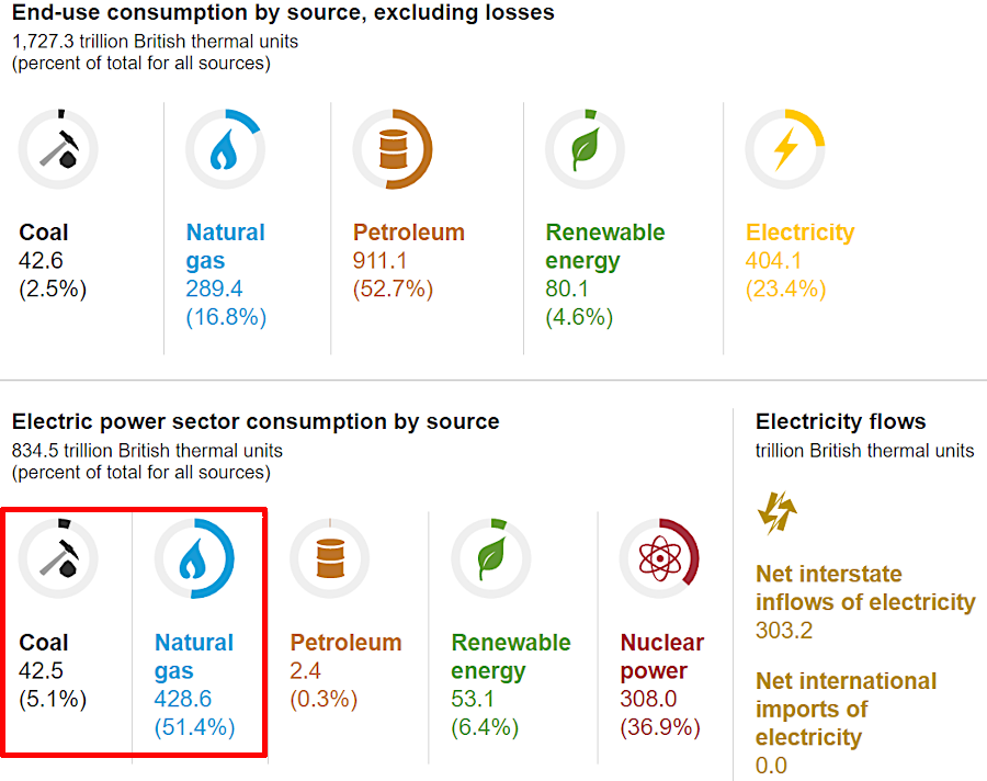estimates of 2019 energy in Virginia showed natural gas replacing coal for electricity generation
