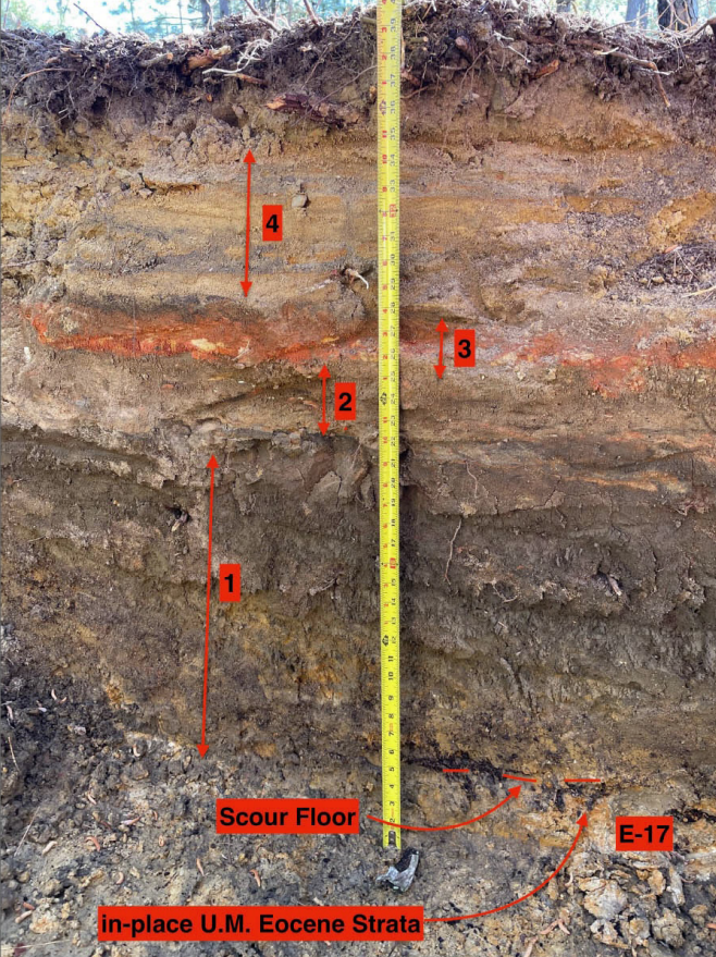 Layer 4 at the top was probably deposited by tsunami waves, following deposition onf three earlier layers right after the impact