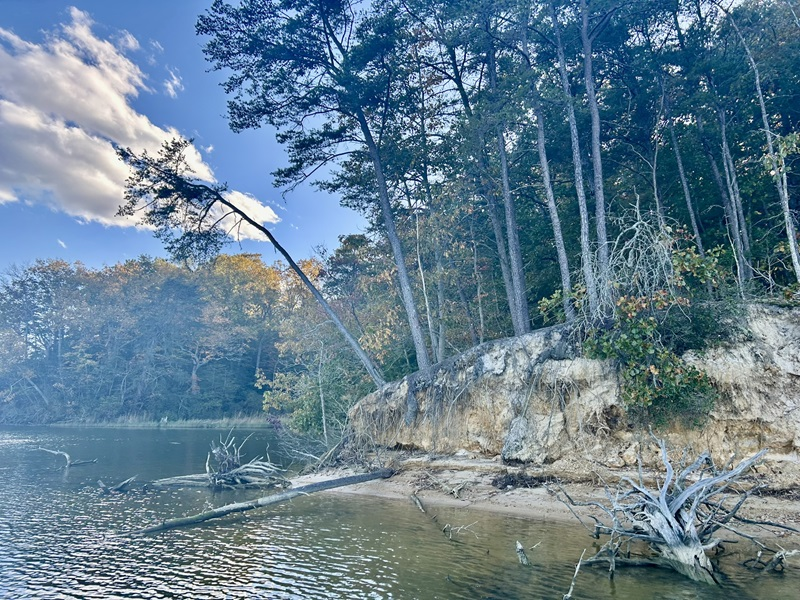 erosion in Tidewater is altering vegetation along the river edges