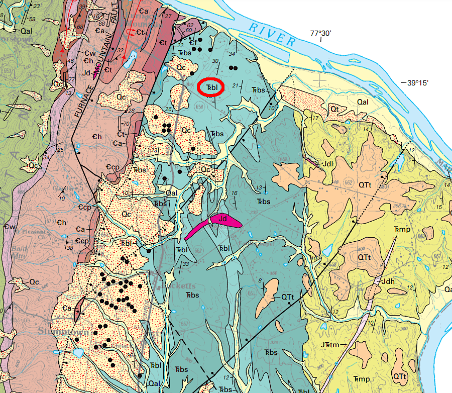 the older dolostone/limestone was redeposited in the Triassic Period to form the limestone-rich Leesburg Member (Trbl)