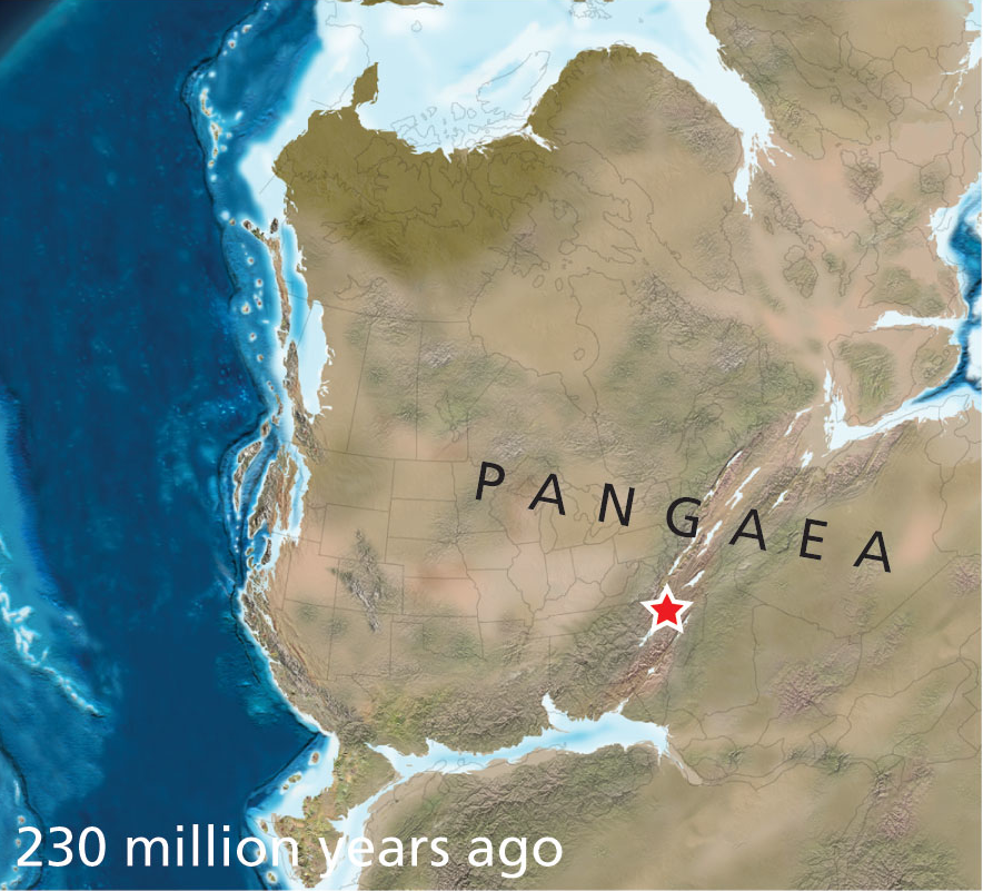 as tectonic plates moved over the last 230 million years, what is now Virginia went from the middle of Pangea to the middle of the North American Plate