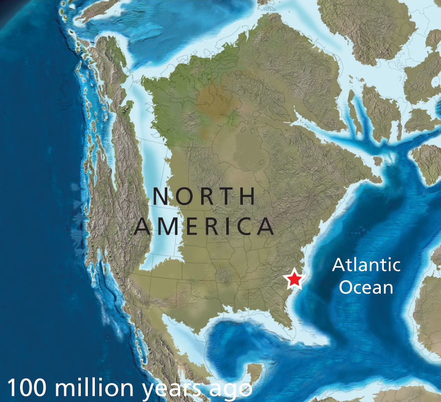 as tectonic plates moved over the last 230 million years, what is now Virginia went from the middle of Pangea to the middle of the North American Plate