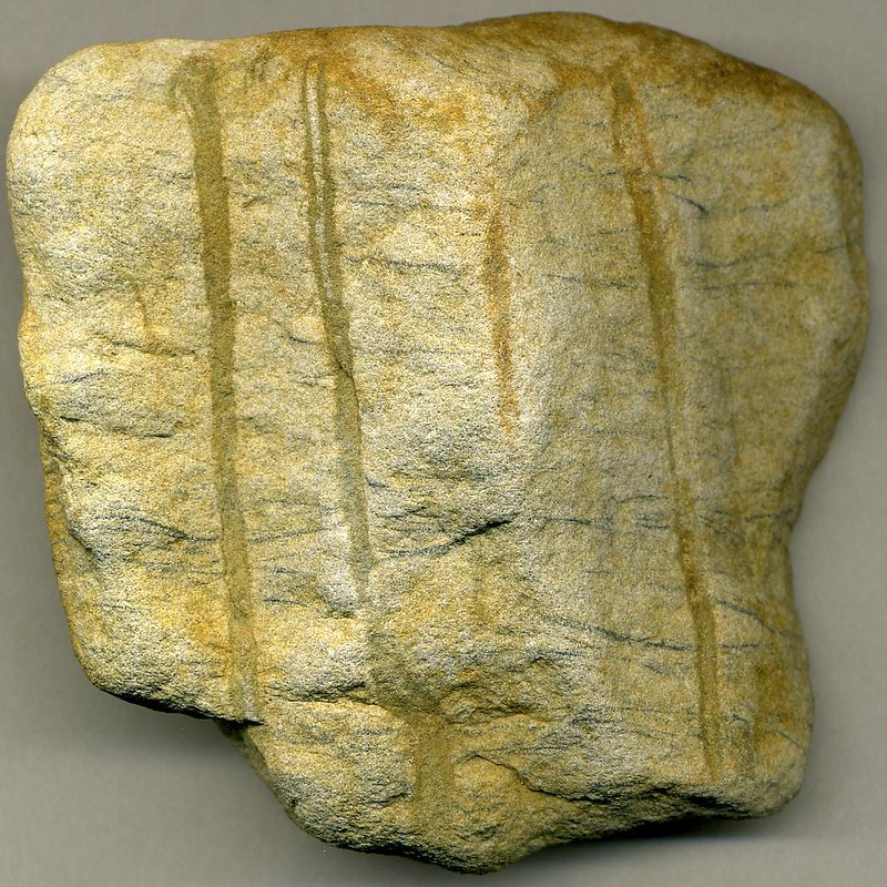 trace fossils of Skolithos linearis are the oldest found in Virginia