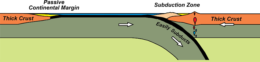 subduction is the process by which heavier oceanic crust is squeezed beneath lighter continental crust