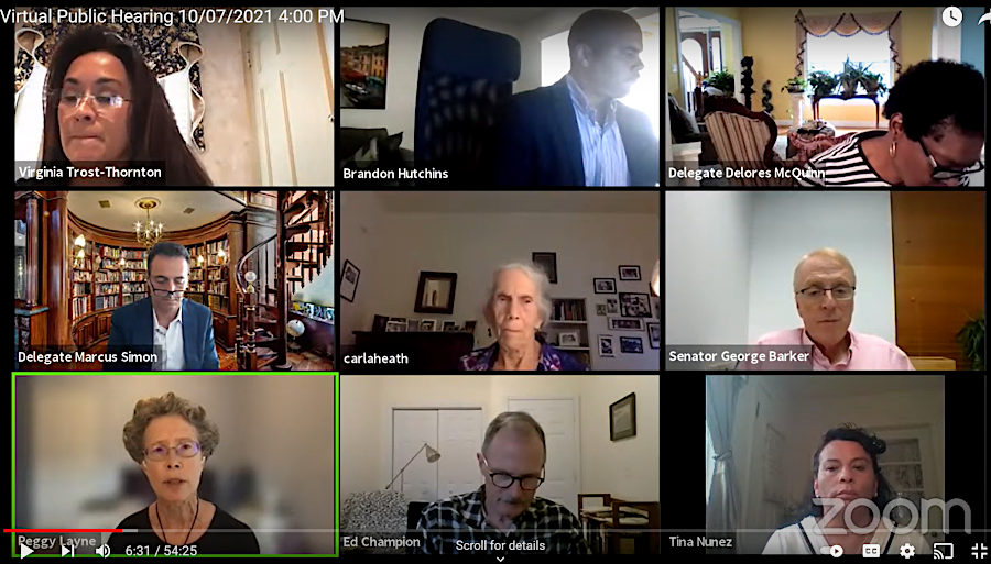 COVID-19 led to the commission holding virtual meetings, which increased public access to discussions and transparency of debates previously held in secret