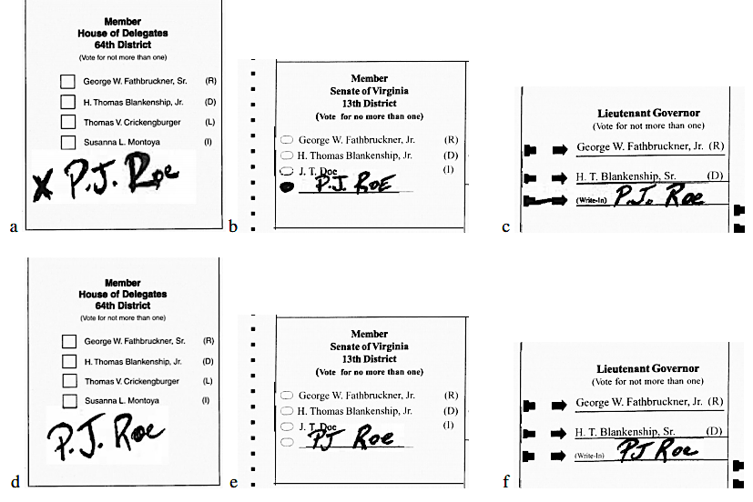 state instructions for write-in votes which should be counted