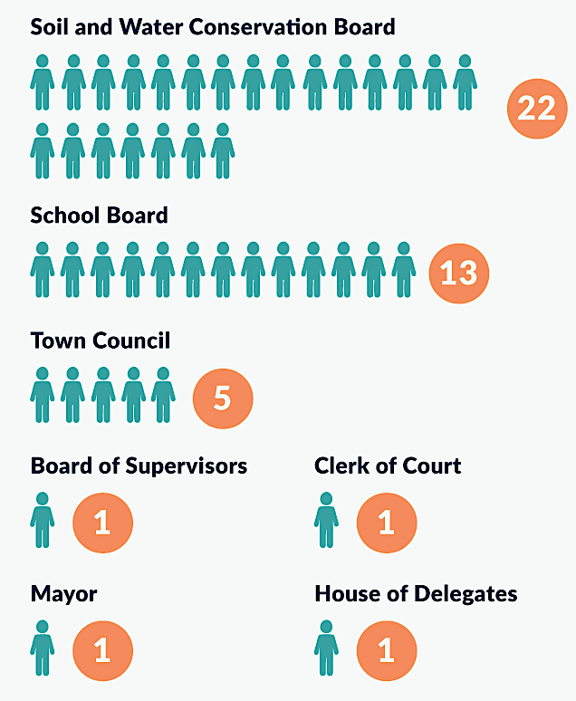 44 write-in candidates were elected in 2019, including the supervisor for the Buena Vista District in King and Queen County