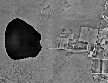 Dismal Swamp orthophoto