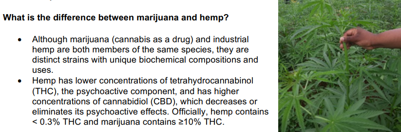 Virginia Tech research supported growth of industrial hemp, but not marijuana used for psychoactive impacts