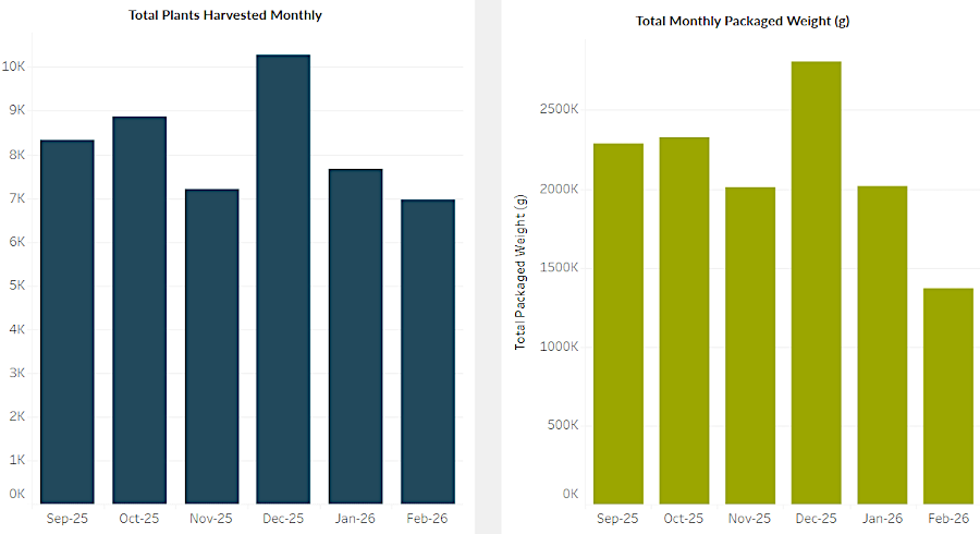 the uptick in December sales could indicate some medical marijuana was being diverted to recreational use during the holiday season