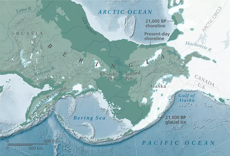 the Cordilleran Ice Sheet blocked humans from moving past the eastern edge of Beringea