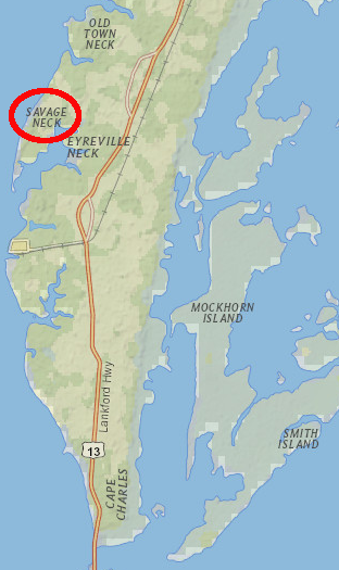 Savage Neck in Northampton County