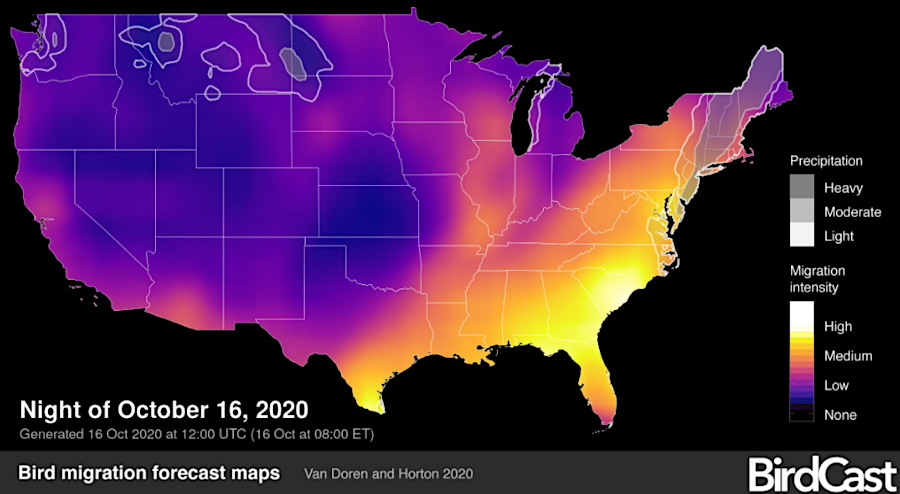 weather radar records now allow predictions of the intensity of bird migrations, as well as storms