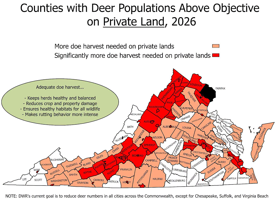 in 2026, the number of deer on private lands still exceeded desired levels in most Virginia counties and cities