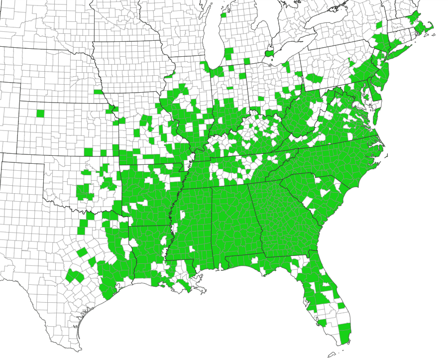 kudzu is primarily a plant of the southeastern states