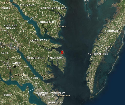 most oysters grown commercially in the Chesapeake Bay start as larvae in a hatchery at the end of Callis Wharf Road on Gwynns Island