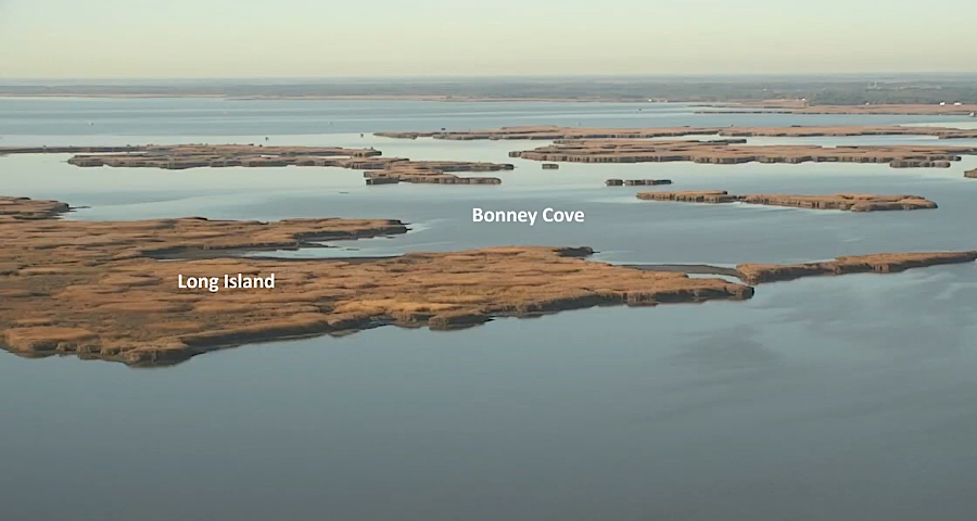 creating 50 acres of marshland in Bonney Cove was expected to reduce wind-tide flooding in Back Bay